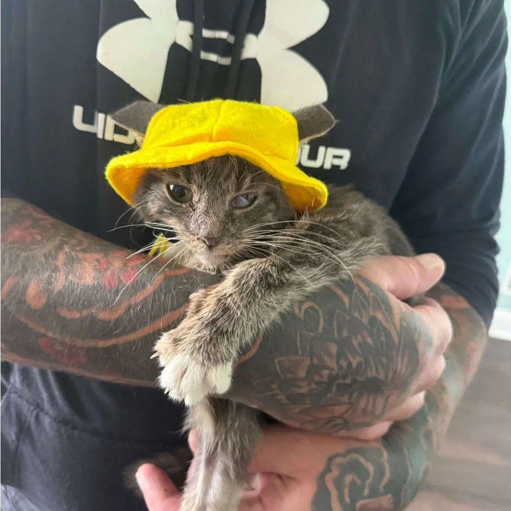 Yellow Cat Hat
